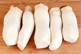 家常杏鲍菇超好吃的做法，鲜香入味又营养，开胃下饭，吃着真解馋