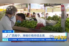 辣椒价格持续走高，到底啥原因？来看记者的探访|第一时间
