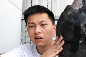 三十多斤的鳄龟做成菜太香了！看这龟壳就感觉大！
