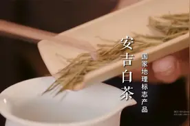 国家地理标志产品—安吉白茶视频封面