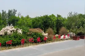 航拍天津滨海官港森林公园