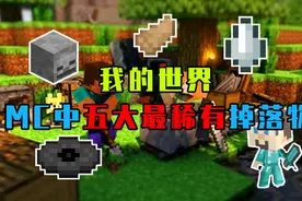 盘点MC中5大稀有掉落物，最后1种泥土变钻石？视频封面