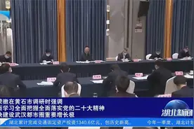 王蒙徽在黄石市调研时强调加快建设武汉都市圈重要增长极视频封面