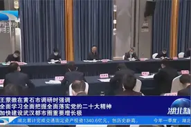 王蒙徽在黄石市调研时强调加快建设武汉都市圈重要增长极视频封面