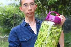 农家人的酸笋做法，不用放一勺盐、一滴醋，看着都好想吃