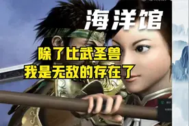 三国群英传7，电脑单机，购买一些宝贝