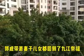 错换人生28年：清明前夕，郭威携妻带子回到九江祭祖有何深义？视频封面