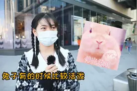 大家的性格像什么动物呢？#街访 #街头采访#动物#性格 #搞笑视频封面