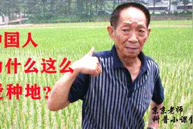 京京老师科普：中国人为什么这么爱种地？是传统？还是种族天赋？视频封面