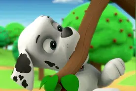 小狗灰灰不听路马的话非要咬树枝，下一秒直接被弹飞了视频封面