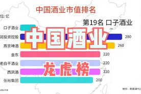 中国酒业35强出炉，第一名总市值等于2到9名总和，你知道是谁吗视频封面