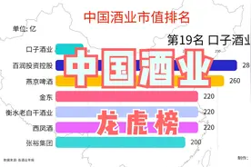 中国酒业35强出炉，第一名总市值等于2到9名总和，你知道是谁吗视频封面
