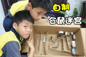 小仓鼠智商如何？给它自制个迷宫挑战，小仓鼠太不讲武德了