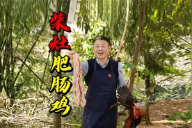 经典四川家常菜红烧肥肠鸡柴灶一锅成菜酱香无腥味，下饭下酒一绝视频封面