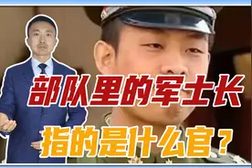 部队里的军士长，指的是什么官？电视剧《士兵突击》，已告诉答案视频封面