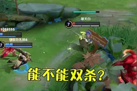 青铜搞笑解说：妲己带惩戒出学识宝石，8级出复活甲的大佬