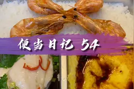 广州全职主妇早起变着花样给上班丈夫做盒饭，蒸的饭菜健康有营养视频封面