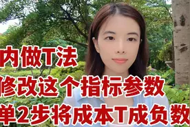 日内做T法，MACD修改这个参数，提升成功率，成本越T越低！视频封面