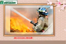 森林消防员的待遇视频封面