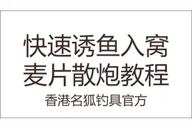 黑坑鲤鱼，野钓快速诱鱼入窝，麦片散炮教程。视频封面