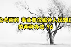 公考百科 事业单位编外人员转正的两种办法 96视频封面