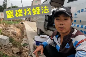 学会蜜碟找蜜蜂，既可以锻炼身体，又有吃不完的野生蜂蜜！视频封面