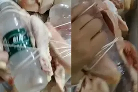 婆婆从老家给儿媳带土鸡，打开箱子网友破防：爱你的人总会有办法视频封面