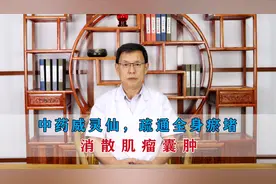 中药威灵仙，通全身瘀堵，消散肌瘤囊肿