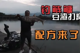 钓鲢鳙怎么打窝呢？用豆渣！成本低、来鱼快，配方很简单视频封面