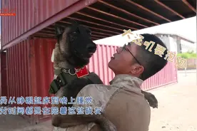 我在吉布提训军犬 首批海外保障基地训导员与军犬的一天视频封面