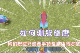 迷你世界：小鹰手把手教你如何驯服可爱的雀鹰，小雀鹰太可爱啦