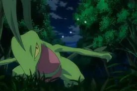 宝可梦：森林蜥蜴太酷了，也曾封过神，高冷的宝可梦都帅视频封面
