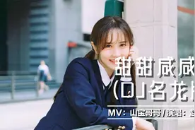 赵芷彤 - 甜甜咸咸 (DJ名龙版视频封面