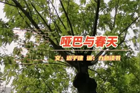 诵读经典《哑巴与春天》迟子建：缺了什么，没有哑巴的春天视频封面