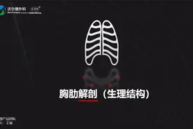 胸肋3D解剖（生理结构）.mp4视频封面