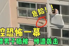 男子30楼晒被子，谁知遭到了恐怖袭击，监控下的真实恐怖瞬间视频封面
