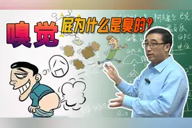 屁为什么是臭的？人为什么能闻到上万种气味？李永乐老师讲嗅觉