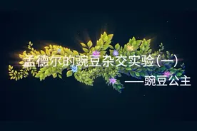【生物大师 高中】孟德尔的豌豆杂交实验（一）——豌豆公主视频封面