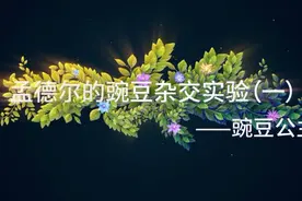 【生物大师 高中】孟德尔的豌豆杂交实验（一）——豌豆公主视频封面