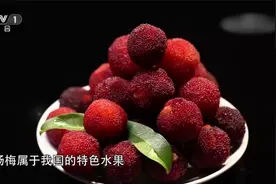 仙居杨梅是什么人间美味！视频封面