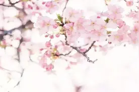 情侣间最舒服的三种相处方式视频封面