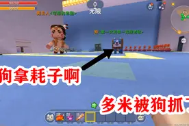 迷你世界老鼠模拟器：全家合力捉老鼠，多米是最笨老鼠，被狗抓了视频封面