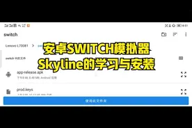 安卓SWITCH模拟器Skyline的学习与安装