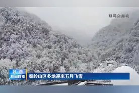 秦岭山区多地迎来五月飞雪视频封面