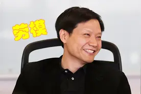 雷军为啥被称为劳模第一人？担任12家公司法人，供职于88家公司视频封面