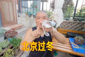 请问：绣球北京能过冬吗？绣球园艺人经验分享
