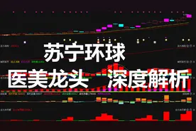 A股：医美老龙头苏宁环球深度解析视频封面