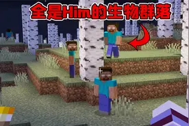 我的世界mod：MC中真的存在Him！远远不止一个，还会冲出来吓你视频封面