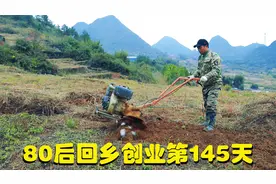 农村创业，继续实行种植场地复耕工作，农村创业有方法！视频封面
