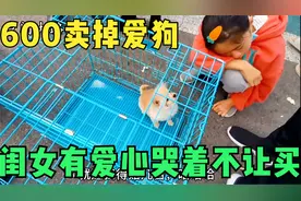 农村大姐600块要卖掉爱狗，闺女有爱心哭着不让买，把狗当成朋友视频封面